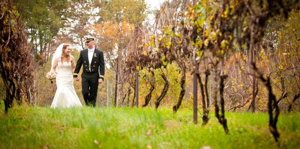 Monterre Vineyards
